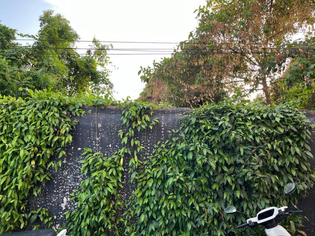 Nirman Homestay 5 Minutes Walk To Beach Purí Exteriér fotografie