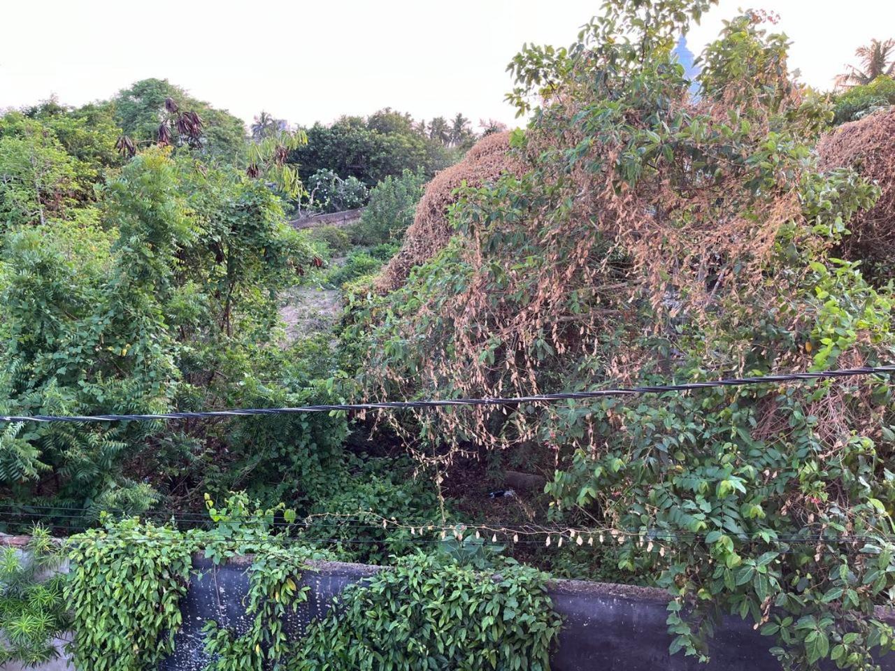 Nirman Homestay 5 Minutes Walk To Beach Purí Exteriér fotografie